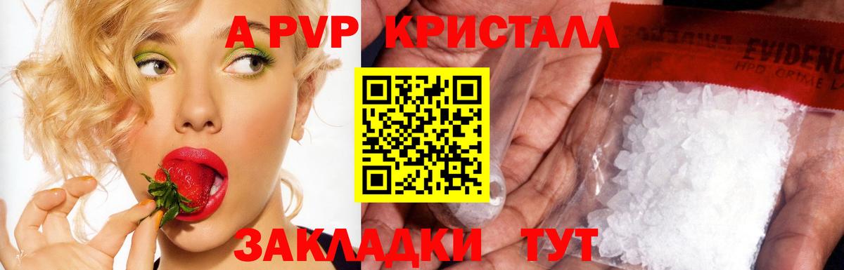 закладка  Альфа ПВП СК  Вход с VPN  Пятигорск  Alpha-PVP СК 