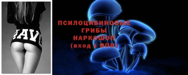 дживик Балахна