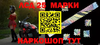 амф Сланцы