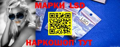 амф Сланцы