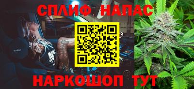 амф Сланцы