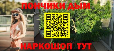 амф Сланцы