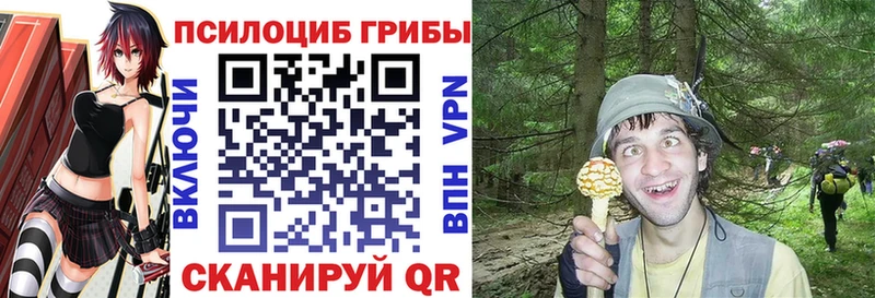 Галлюциногенные грибы прущие грибы  Пятигорск 