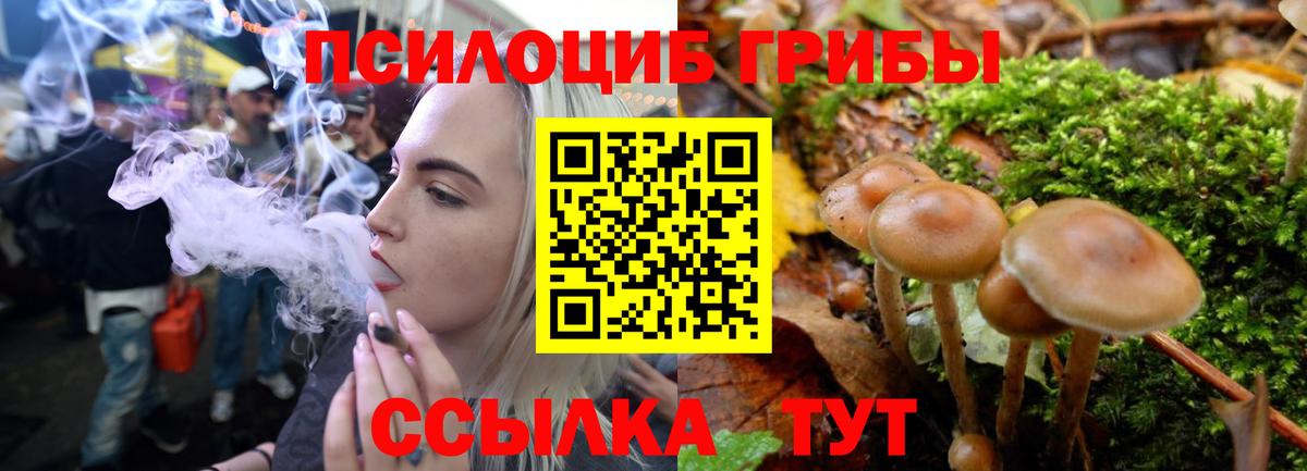 Галлюциногенные грибы ЛСД  как найти   Пятигорск  Галлюциногенные грибы Psilocybine cubensis  Вход с VPN 